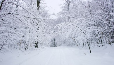 Überwinterung